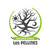 logo-escuela-los-pellines